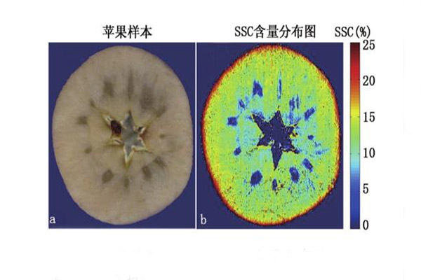 蘋(píng)果可溶性含量檢測(cè)