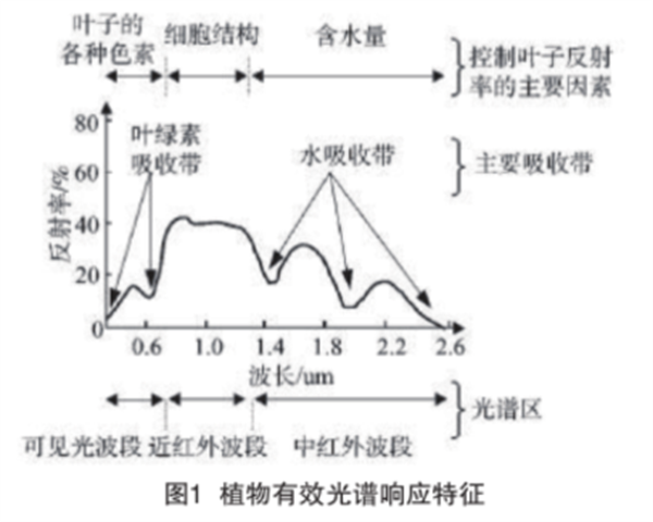 高光譜與多光譜數(shù)據(jù)融合在植被水域分類與生態(tài)保護(hù)中的應(yīng)用